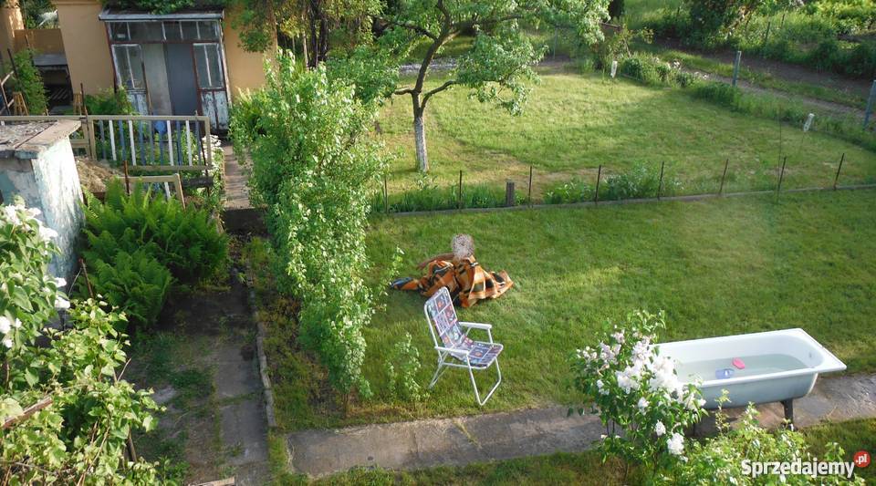 Działka rekreacyjna ogródek działkowy Wrocław Wrocław