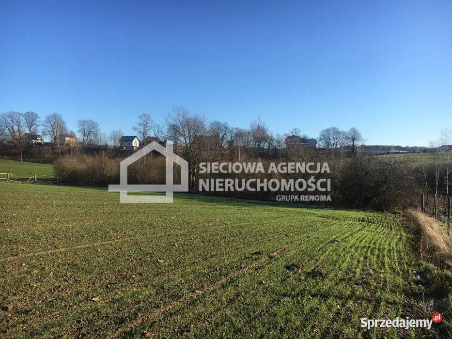 Sprzedam działka Czarna Dąbrówka 10000m2