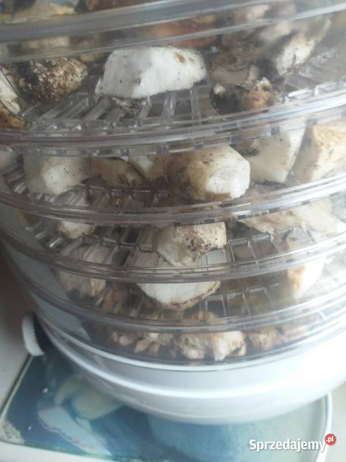 Grzyby świeże prawdziwki małopolskie