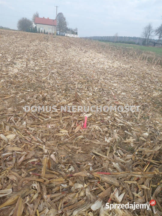 Sprzedaż gruntu 3000m2 Tworzyjanki gaz