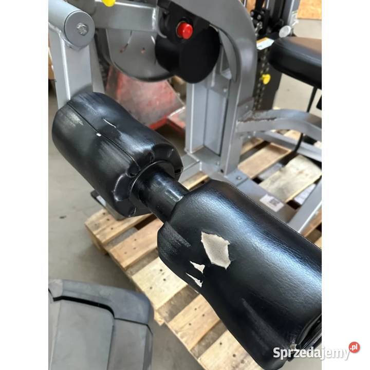 Maszyna siłowa na mięśnie nóg Seated Leg Curl Sprzęt do ćwiczeń Wałcz