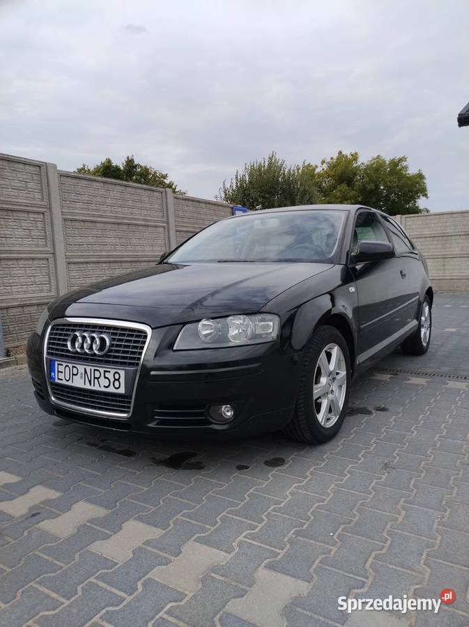Audi A3 8P 16 MPI 102 benzyna 2006r radio łódzkie Rogi
