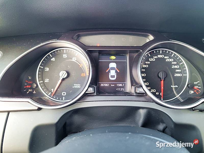 DOINWESTOWANY EGZEMPLARZ