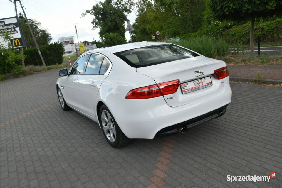 Jaguar XE 25T 20T 250 2018r Skóra Panorama I Zarejestrowany w Polsce Kampinos