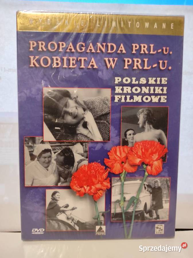 filmy na DVD nowe Wrocław