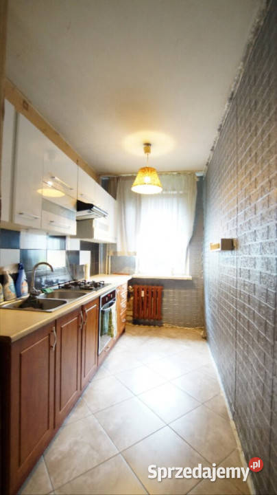 Sprzedaż mieszkanie 2pok I piętro 48m2 z Piętro 1 Sprzedaż Opole
