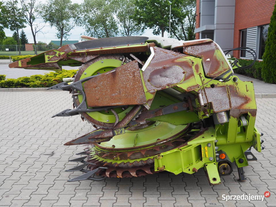 Claas Orbis 450 Przystawka do kukurydzy heder Stęszew