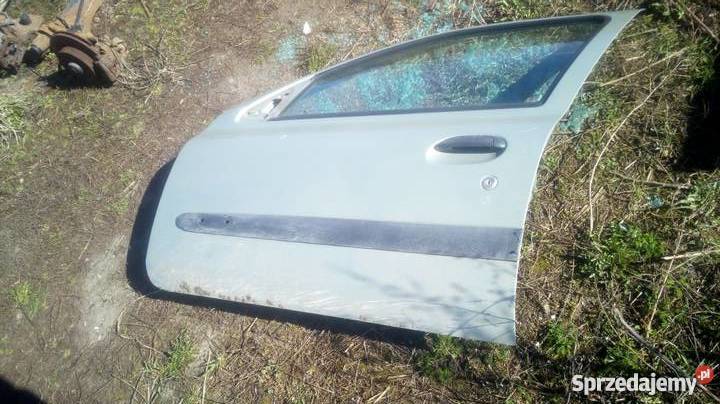 Dzwi przednie lewe RENAULT CLIO II wersja 5 dzwi Margonin
