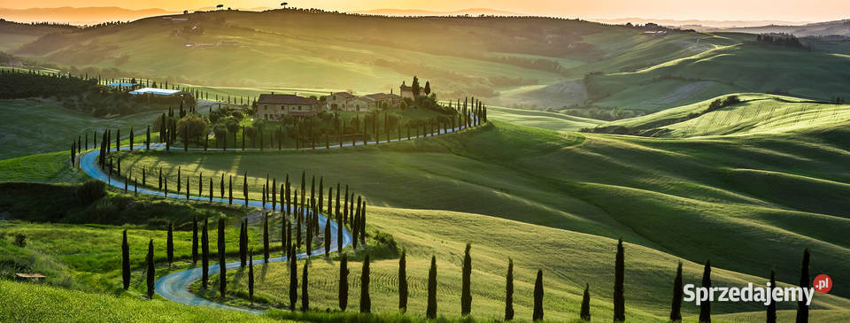 Włochy Wycieczka objazdowa Buongiorno Firenze Chorzów