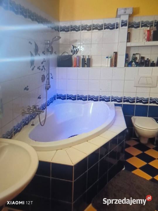 Mieszkanie super miejsce 9505m 4 pokoje plus 6842zł/m2 Zgorzelec