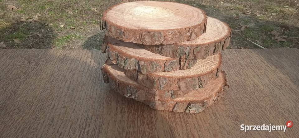 Plastry drewna 20sztuk 2025 dekoracje na stroiki mazowieckie Warszawa sprzedam