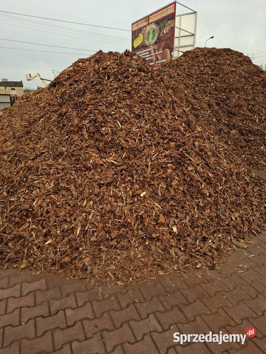Serpentynit Głazy dolomitowe głazy filitowe Zgierz