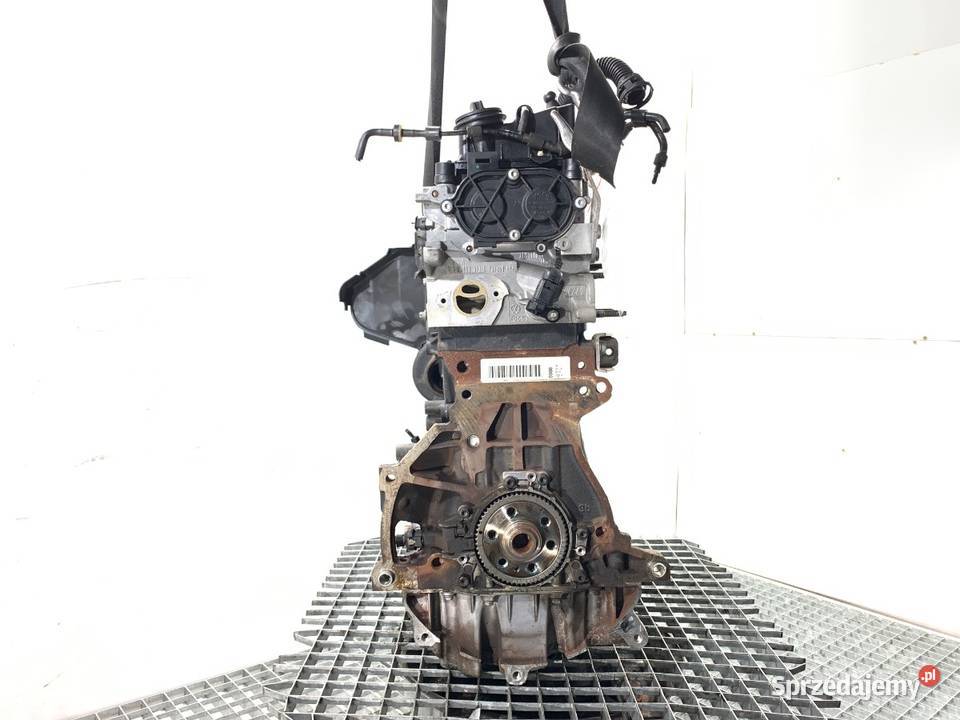 SILNIK SKODA 16 115 DDY OCTAVIA III podkarpackie