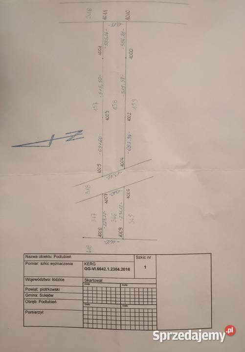 Sprzedam las z gruntem 231 ha gmina Sulejów woj