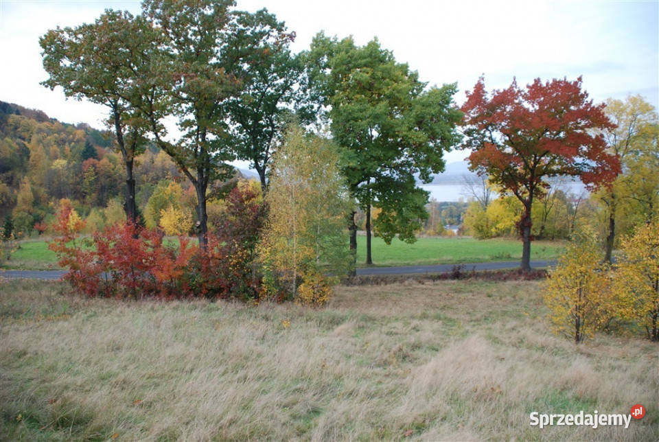 ŚWIETNA DZIAŁKA INWESTYCYJNA SOSNÓWKA Sosnówka