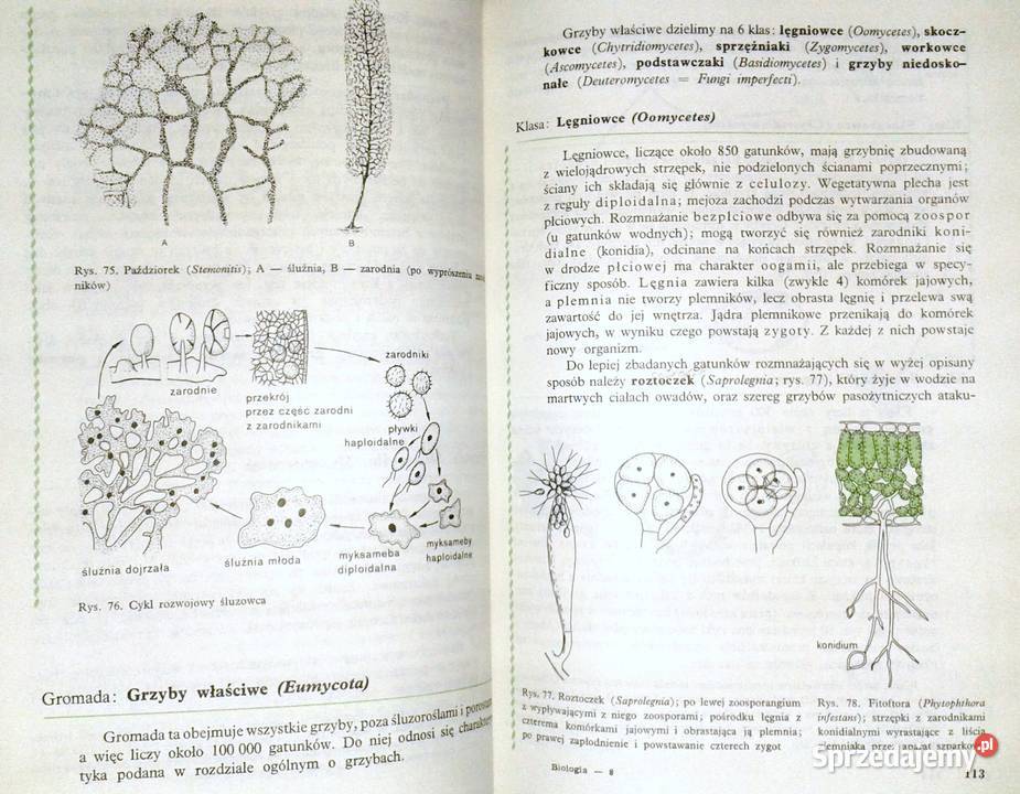 Biologia kl 1 LO M Podbielkowska Z Podbielkowski Chełm