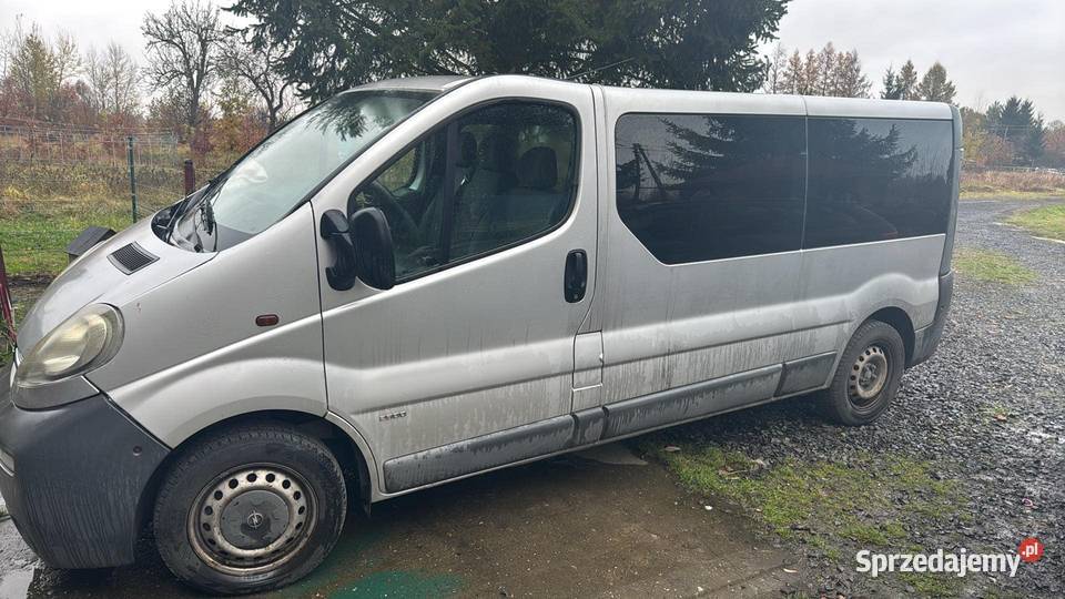 Opel Vivaro 9 osobowy wersja long Gierałtów