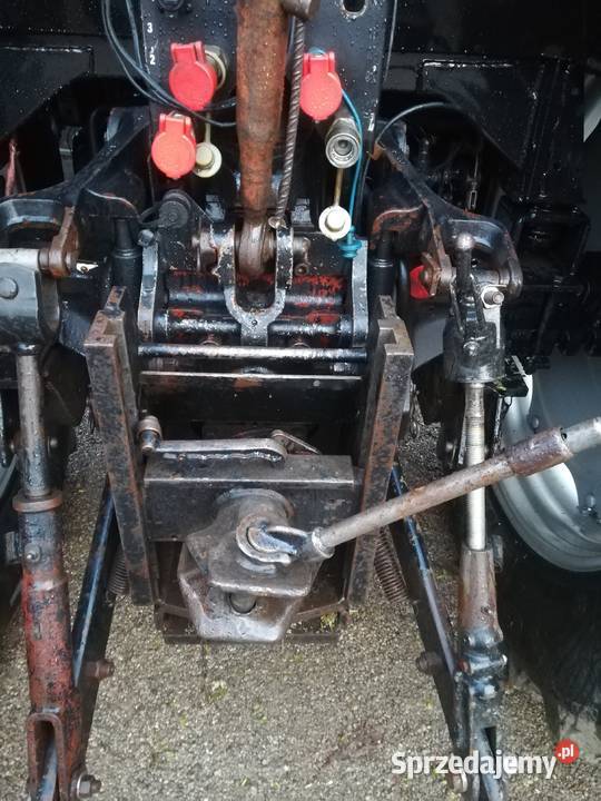 Case 4240 Przyjaźń