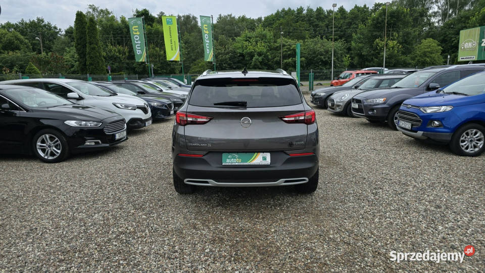 Opel Grandland X Serwisowany Automat Zieleniewo