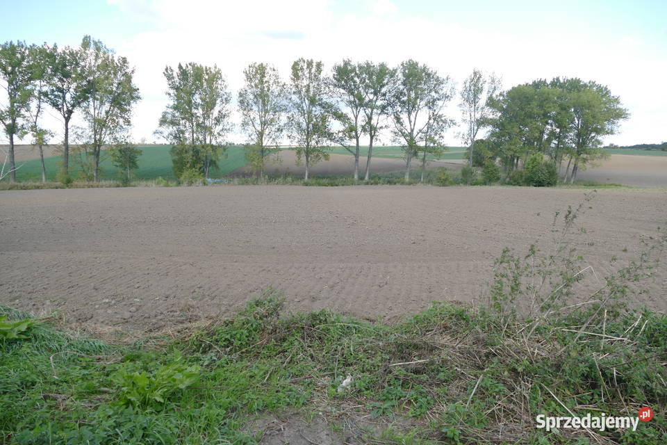 Działka rolna opolskie