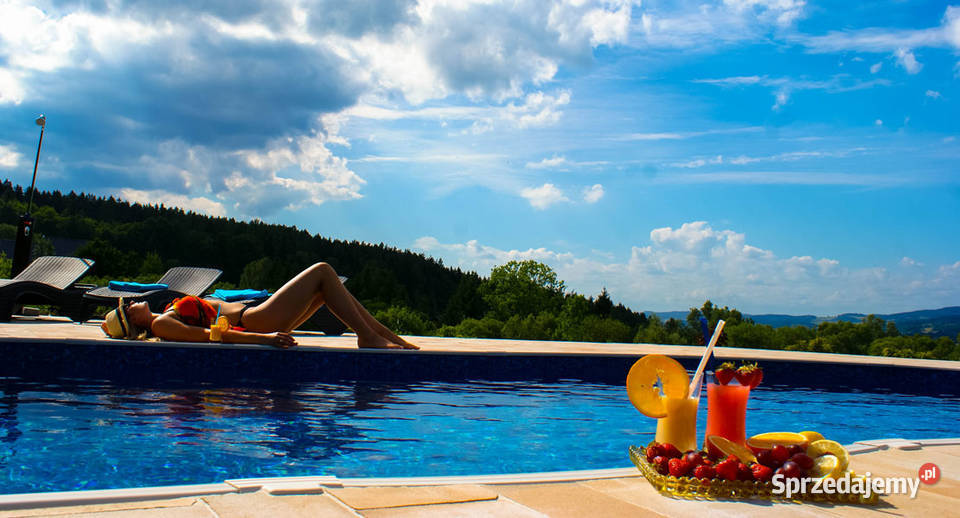 Góry Dom z Podgrzewanym BasenemJacuzzi dolnośląskie Mniszków