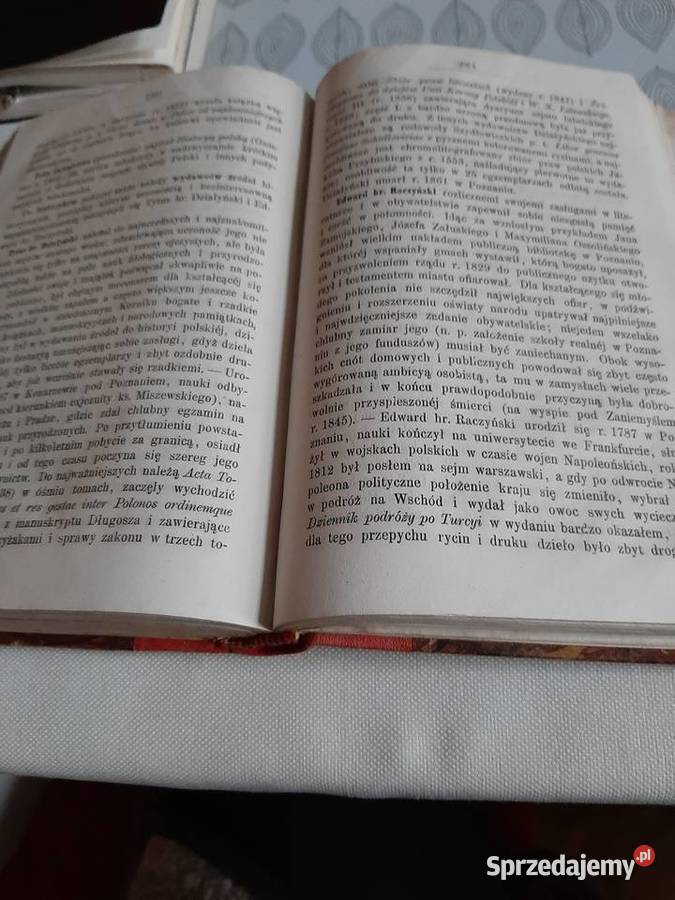 Kurs literatury polskiej WłNehring 1866 r Stronie Śląskie sprzedam