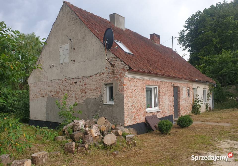 Syndyk sprzeda udziały w działkach w tym udział warmińsko-mazurskie