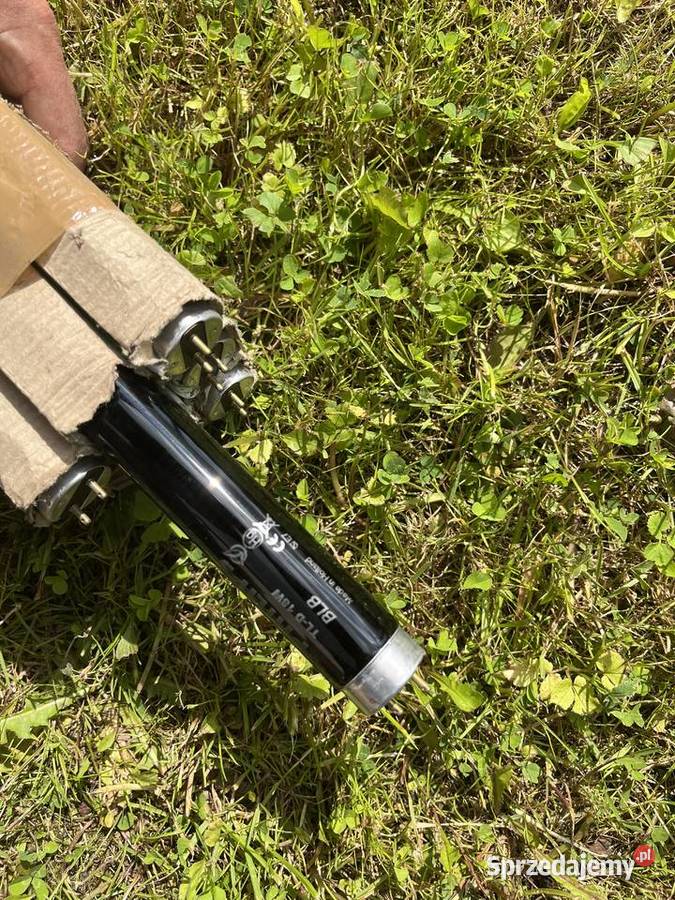 Świetlówka PHILIPS Blacklight Blue TLD108 BLB Żarówki i świetlówki Nowogard