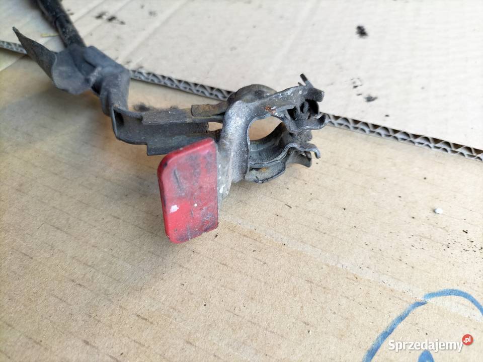 Citroen C3 Mk1 14HDI PRZEWÓD PLUS PLUSOWY KLEMA Kamień-Kolonia