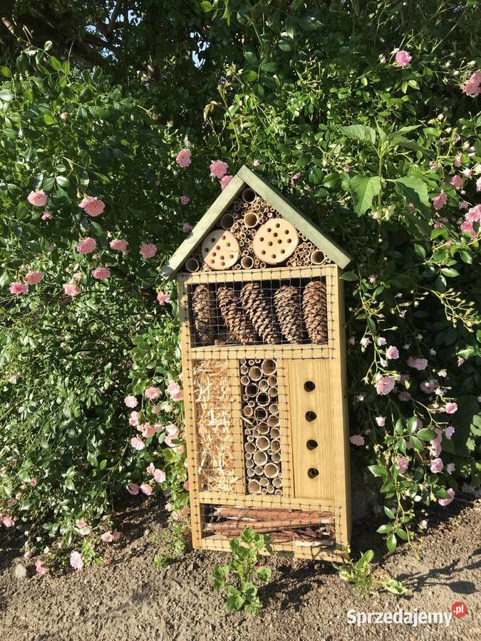 Domek owadów 70 zachodniopomorskie Sławno