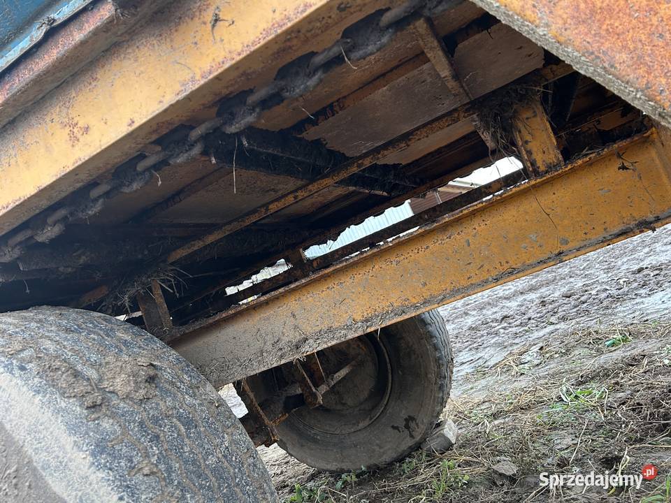 Rozrzutnik Rolland 7 ton Łuków