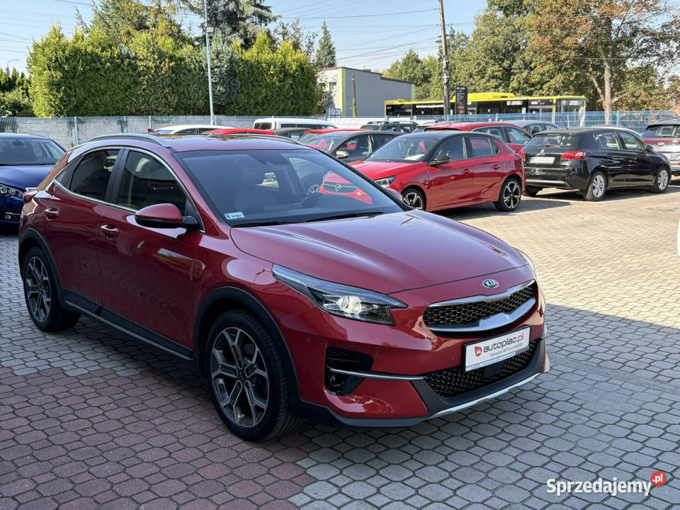 Kia XCeed 15 160 Automat Pół Skóry Kamera Full 160KM XCeed