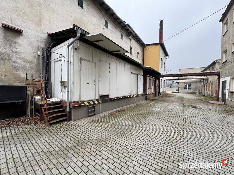 Syndyk sprzeda nieruchomości zabudowane w Prudnik sprzedam