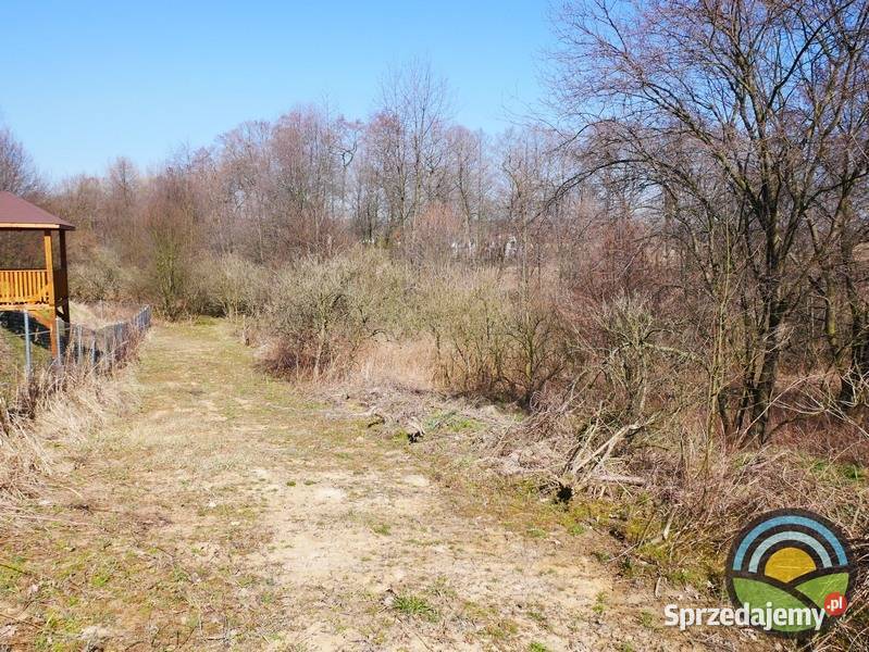Niegoszowice gm Zabierzów działka 186 arowa w 18600m2