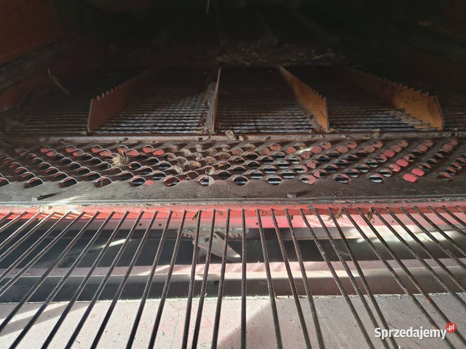 Bizon z056 mazowieckie Stanisławów