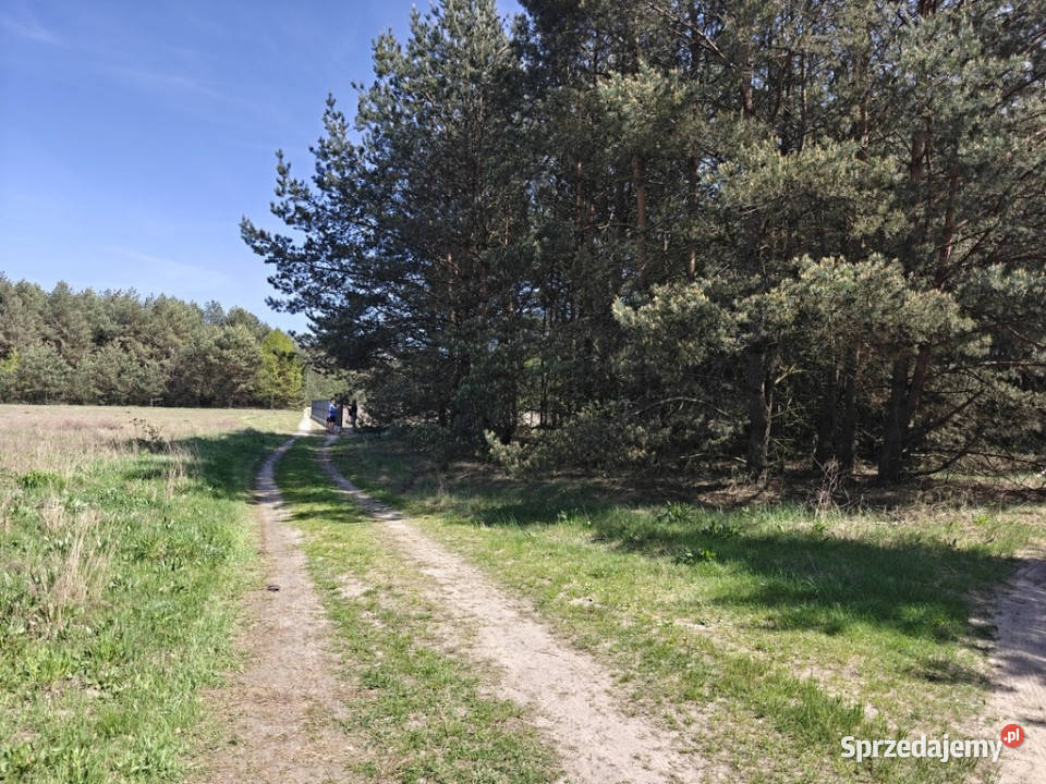 Michałów urokliwa działka budowlana 5500 m2 28m