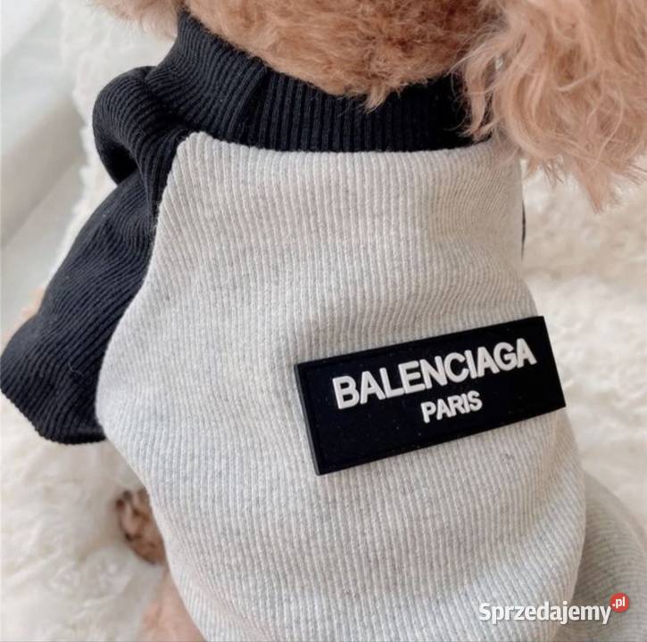 Nowa bluza ubranko psa Balenciaga L3XL sprzedam