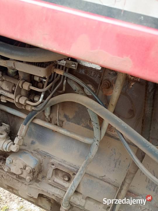 Massey Ferguson 6160 Kamieńsk