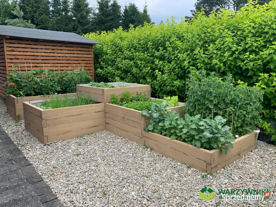 Skrzynia podwyższone grządki podwyższona donica Rzeszów