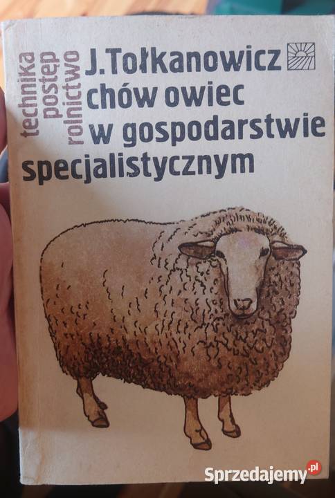 Chów owiec w gospodarstwie specjalistycznym Oleśnica