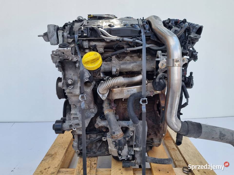 SILNIK KPL Renault Laguna III 20 DCI 150 M9R805 osobowe Chełm