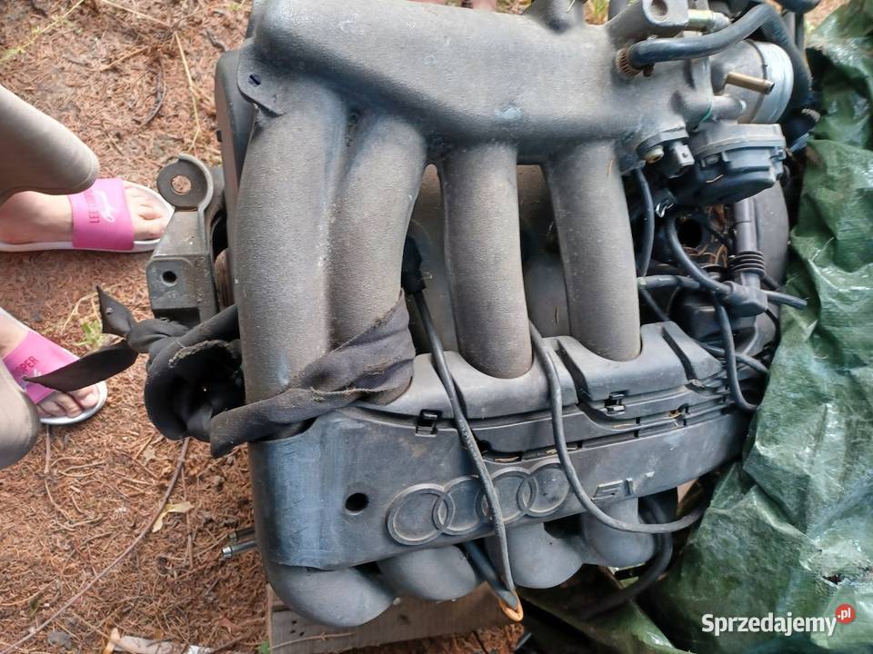 Audi a3 8L 18 19 silnik wszystkie części Ząbkowice Śląskie