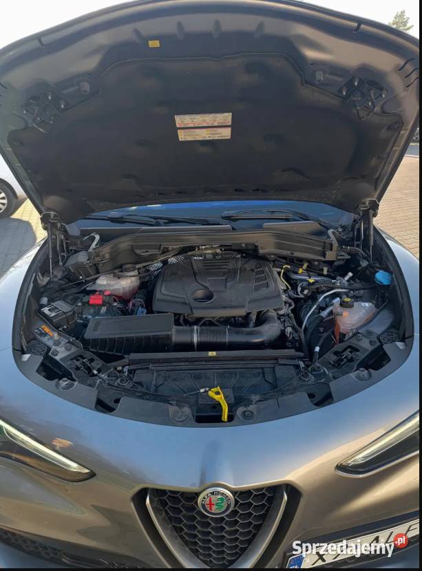 Stelvio SUPER 280 Europa HAK Łopatki RACE nieuszkodzony Reda