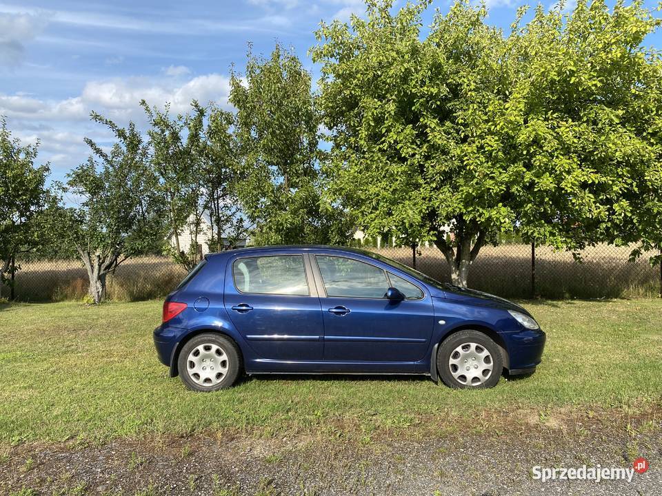 Peugeot 307 salon Polska pierwszy właściciel 4/5 Garwolin sprzedam