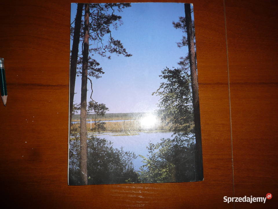 lasy janoweski Lutowiska