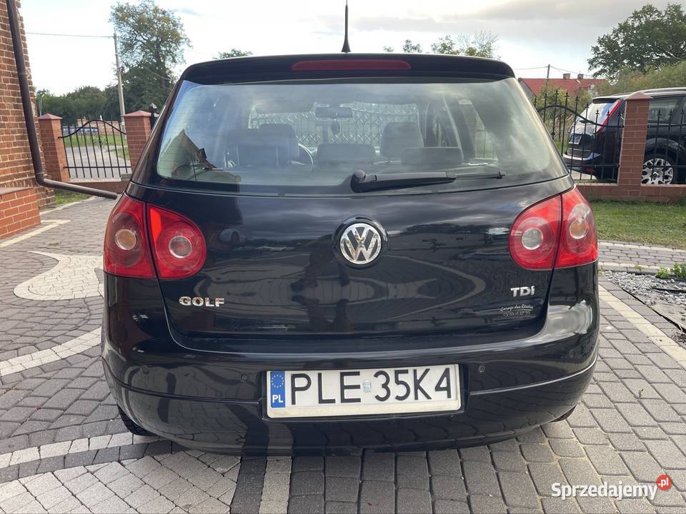Volkswagen Golf V z 2007 roku z silnikiem 19 TDI Rok produkcji 2007
