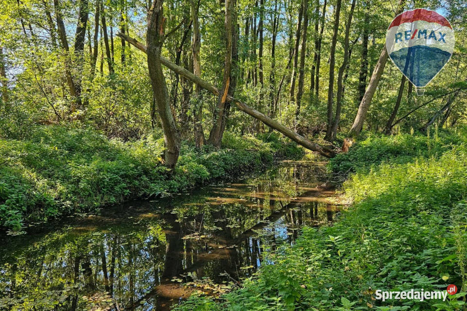 Działka budowlana 1931m2 z lasem rzeczką utwardzona Musuły