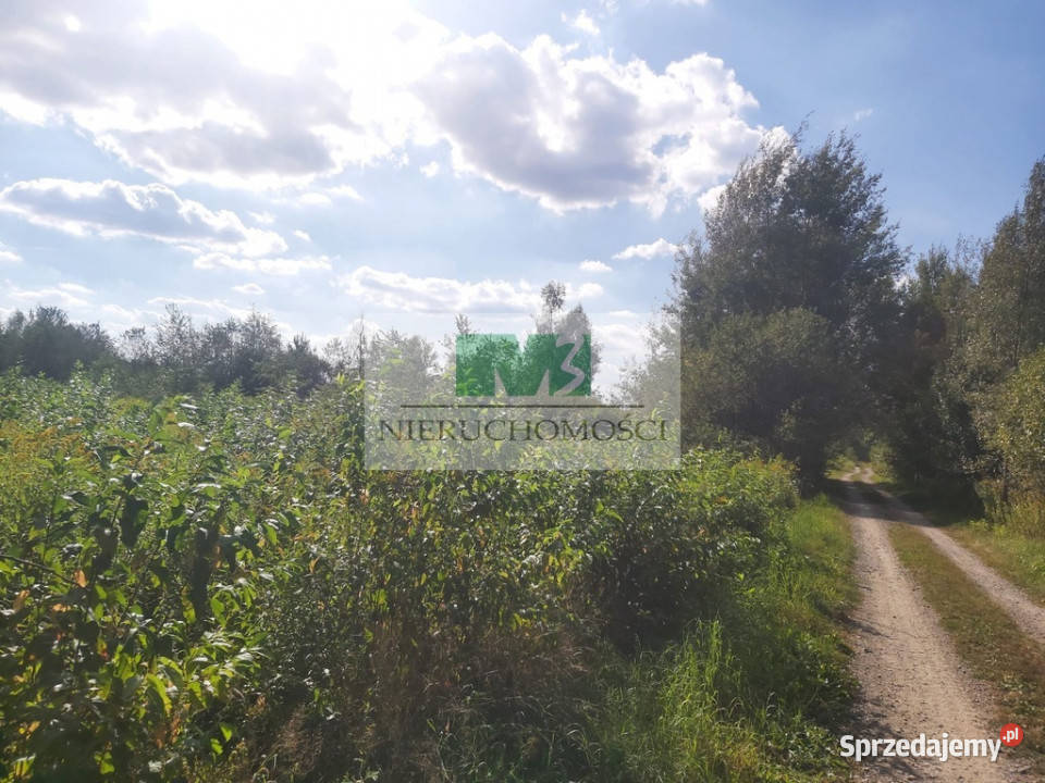 DO SPRZEDAŻY DZIAŁKA W WOLI ZARCZYCKIEJ Z WZ Sprzedaż podkarpackie Wola Zarczycka