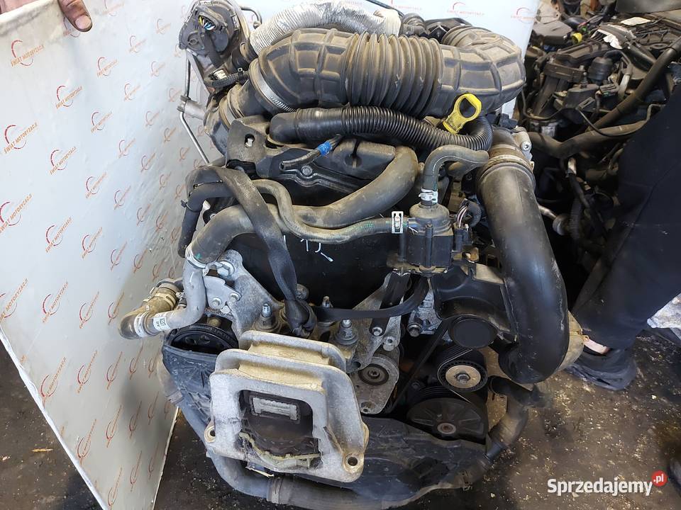 FORD TRANSIT CUSTOM 20 TDCI ECOBLUE EURO6 YNF6 Kielce