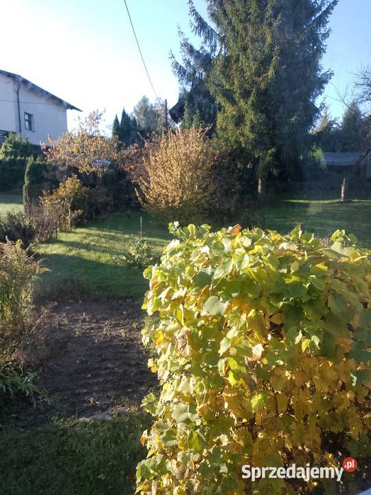 sprzedaż domu dwurodzinnego śląskie Bielsko-Biała